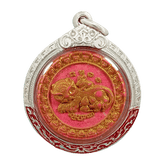 1st Batch Mouse Suckling Cat