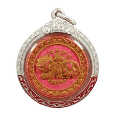 1st Batch Mouse Suckling Cat